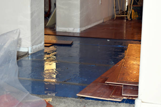 Professional Sewage Cleanup technician working in Chippewa Lake, MI